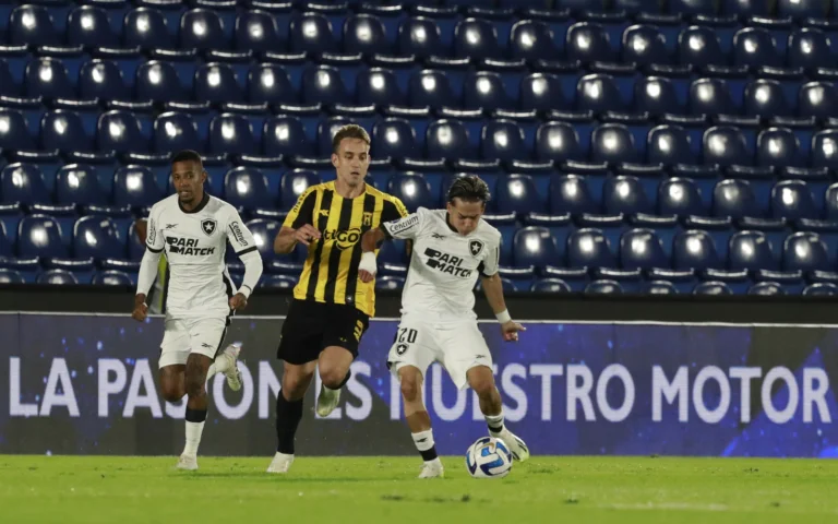 Botafogo empata com Guarani e avança na Sul-Americana (Foto: Botafogo/Commebol)