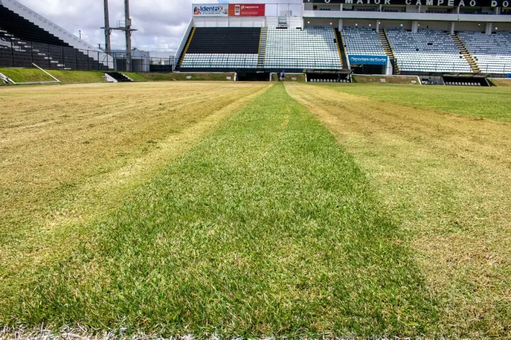 Entenda como será recuperado o gramado do Frasqueirão (Foto: Rennê Carvalho/ABC F.C.)