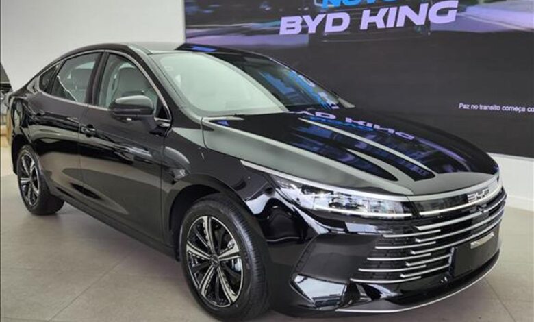 BYD King 2025