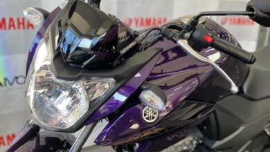 Yamaha Fazer FZ15 2024