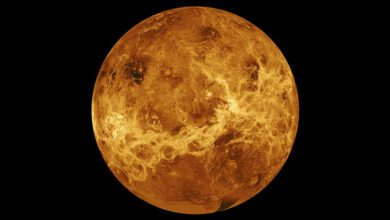 venus