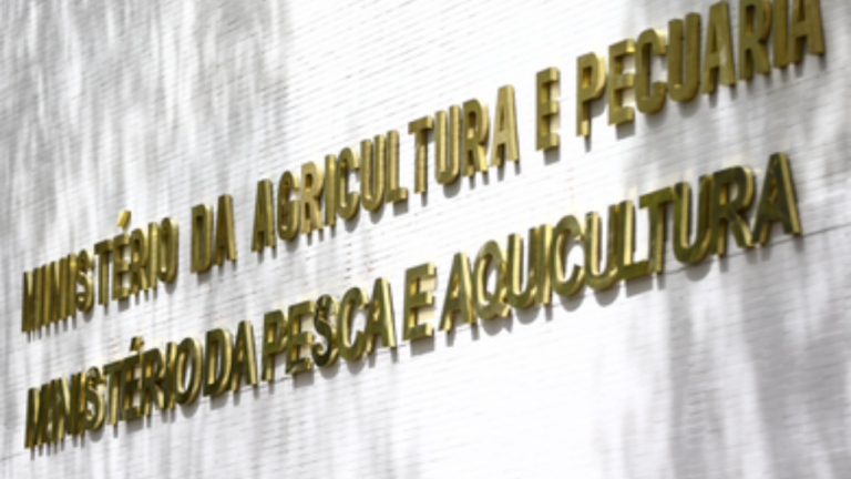 Ministério da Agricultura abre processo seletivo com 79 vagas e salários de até 6 mil (Créditos: Agência Brasil)
