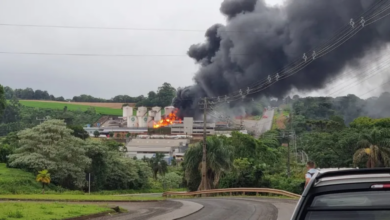 Imagens mostram incêndio em distribuidora de combustíveis (Créditos: Divulgação)