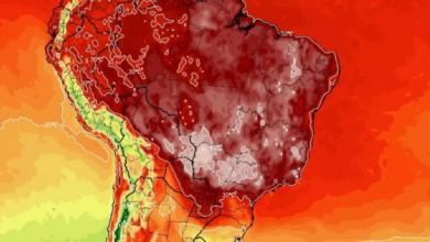 Onda de Calor: Saiba como proteger a saúde da sua pele e reduzir riscos da exposição solar (Créditos: Divulgação)