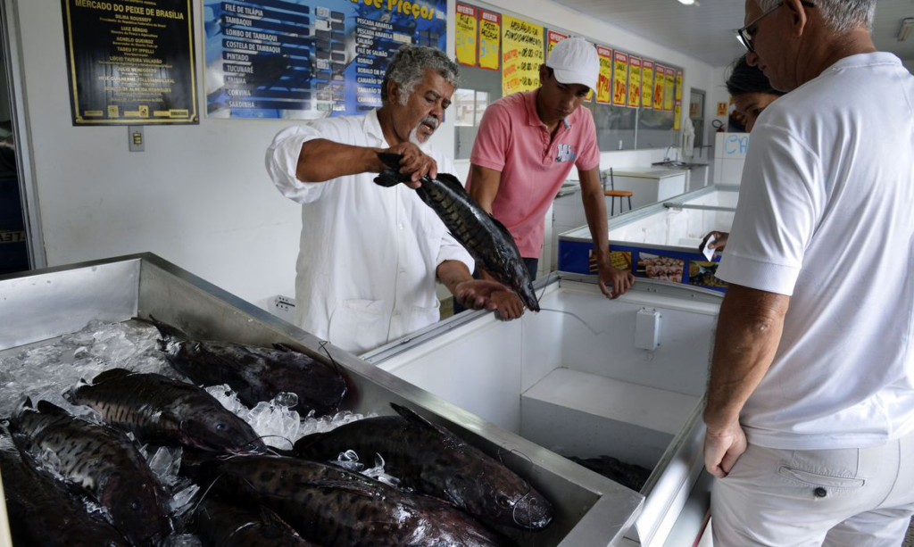 Varejistas de peixe, carnes e comércios em geral podem ter convenções sobre trabalho aos feriados alteradas no ano que vem (Créditos: Agência Brasil)