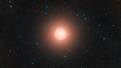 Betelgeuse, uma das estrelas mais proeminentes e facilmente reconhecíveis no céu noturno