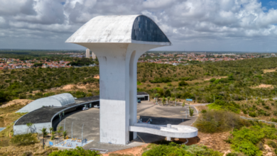 Venha para o Parque da Cidade Dom Nivaldo Monte e viva momentos inesquecíveis em meio à natureza (Foto: Carla Belke)