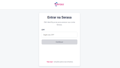 As apurações apontaram para a possível divulgação de informações pessoais dos consumidores na internet, históricos de compras, endereços de e-mail, dados da Previdência Social, de renda, da Receita Federal, e até de acesso a dados de cartões de crédito e de débito.