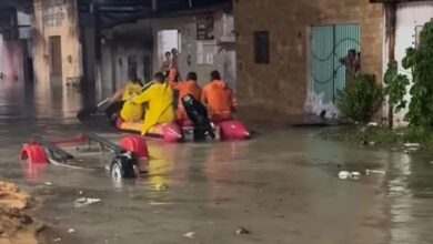 Bombeiros resgatam moradores ilhados e capturam jacarés na zona Norte de Natal