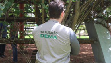 Concurso do IDEMA será retomado para preenchimento de 180 vagas efetivas