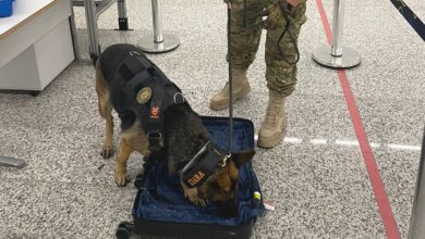 Idoso é preso com quase 5 kg de cocaína no aeroporto de Natal