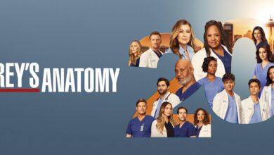 greys anatomy