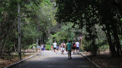 População do RN começará a diminuir a partir de 2039, diz IBGE