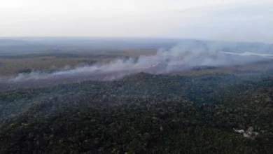 incendio amazonia