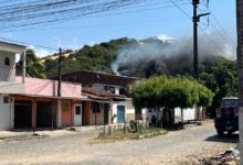 Incendio atinge area de mata em Felipe Camarao Zona Oeste de Natal