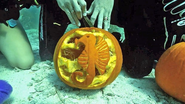 underwater-pumpkin-ca_fran1