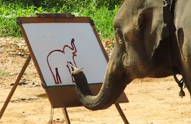 elefante-pintora1