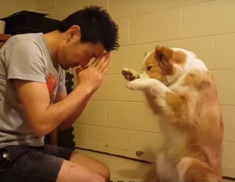 dog-rezando-
