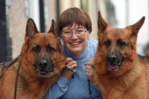 Cães salvam mulher ao detectarem que ela tinha câncer