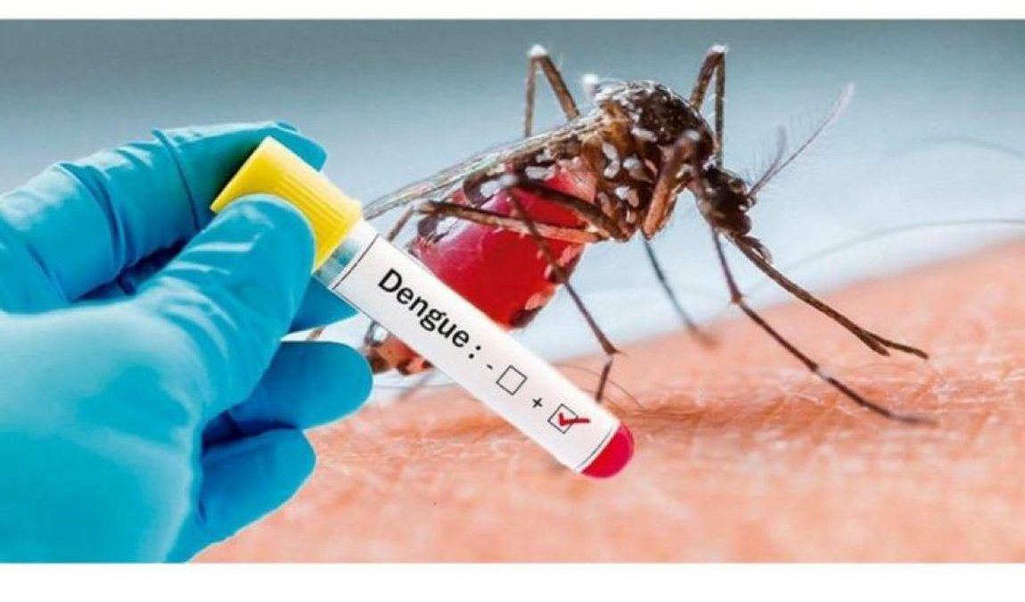 Alta incidência de dengue coloca municípios do RN em alerta