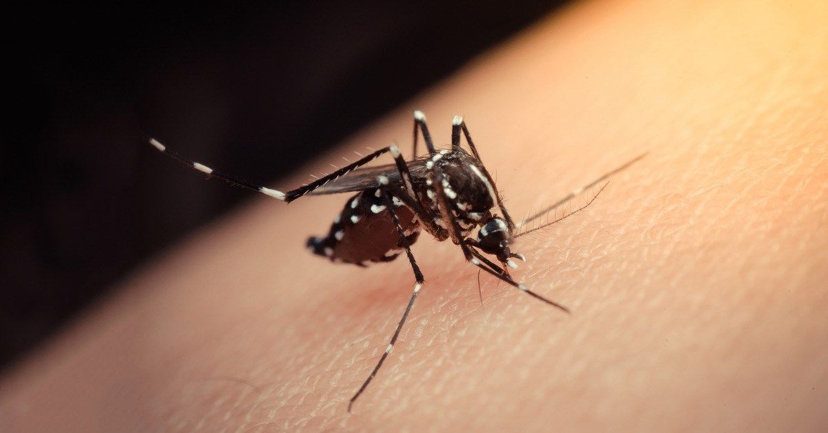 Seis bairros de Natal concentram 30% dos casos suspeitos de dengue em 2020