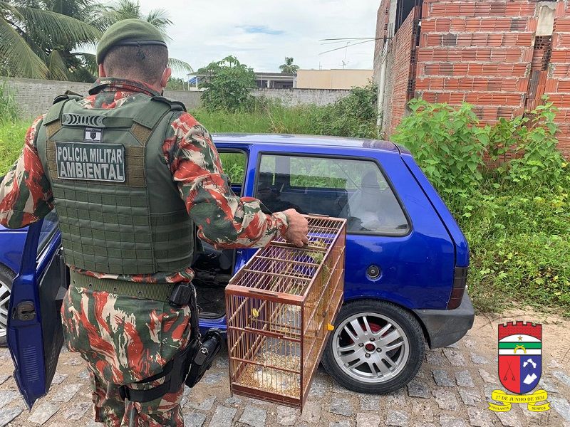 CIPAM detém 29 pessoas em Parnamirim por crime contra a fauna
