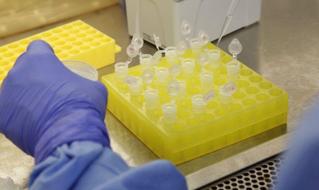 Teste de vacina contra Coronavírus tem 'bom resultado em ratos'