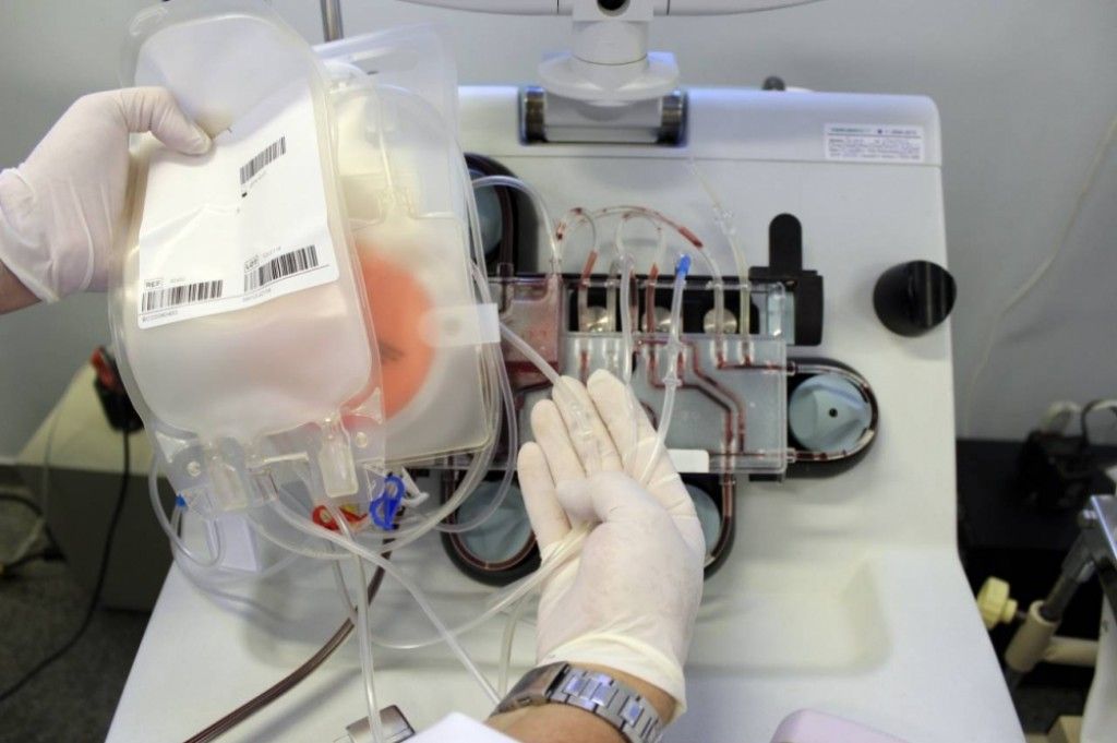 pesquisadores brasileiros testam tratamento com anticorpos de pacientes curados covid 19