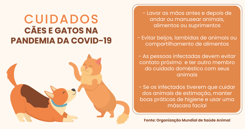 Cães e gatos podem ser infectados com o novo coronavírus