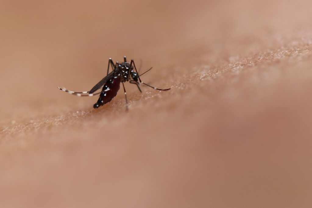 Fiocruz identifica circulação de nova linhagem da zika no Brasil