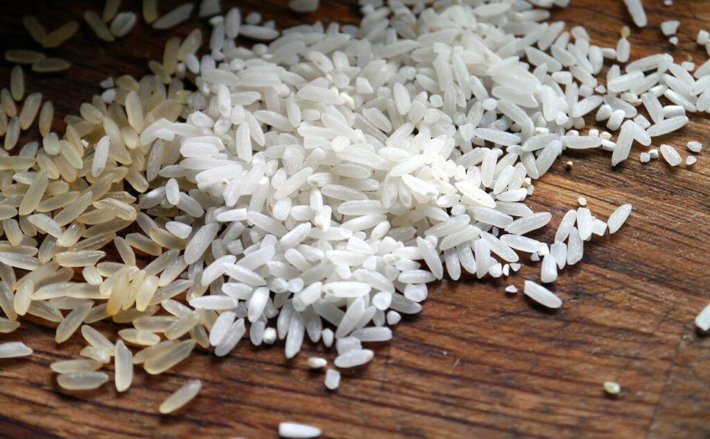 Preço do arroz deve permanecer entre R$ 5 e R$ 7 até março de 2021