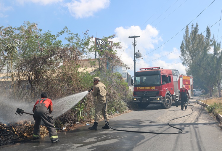 Bombeiros do RN atendem 14 ocorrências de incêndios florestais em 24h