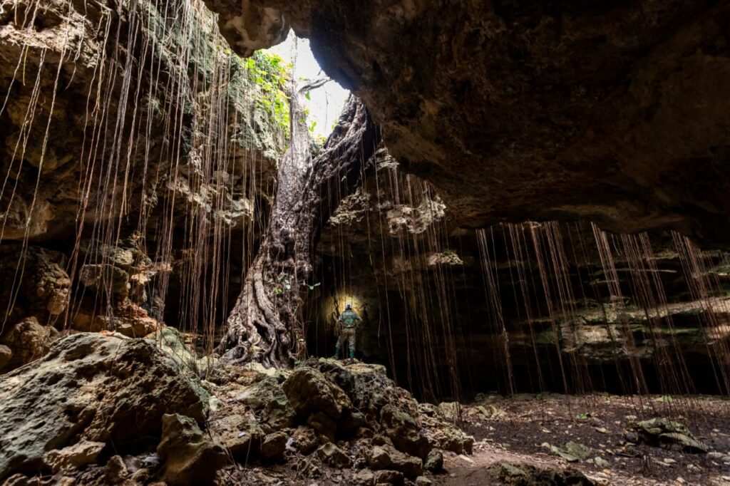 Senador Jean cria grupo para discutir turismo sustentável nas cavernas de Felipe Guerra