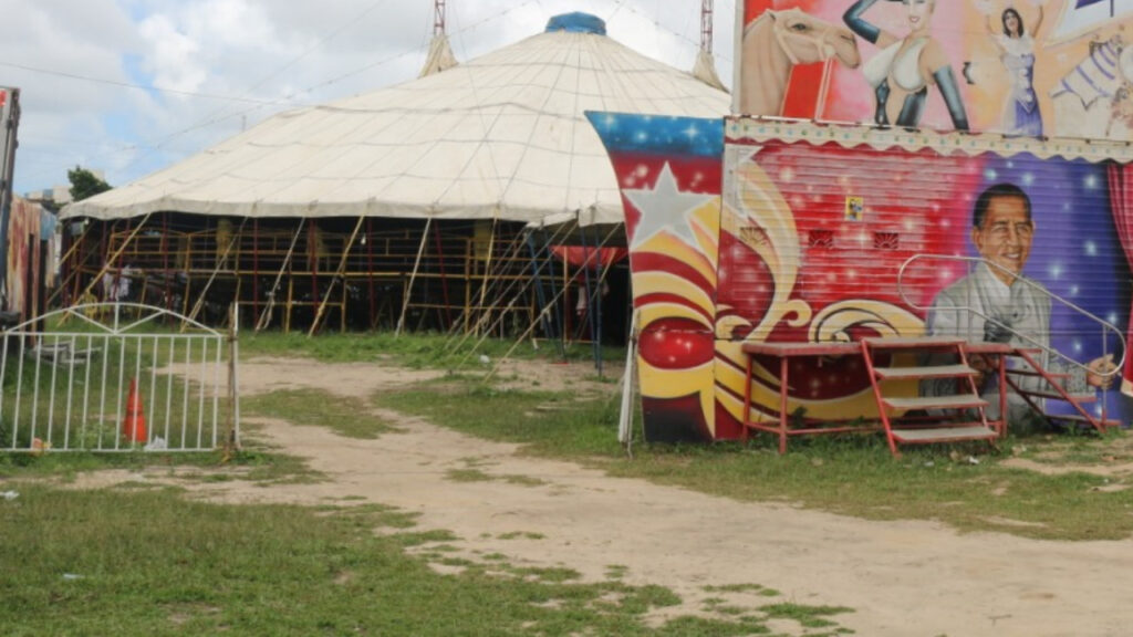 Novo decreto permite funcionamento dos circos em Parnamirim