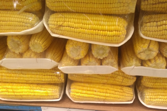 Preço médio do milho vendido em Natal é de R$ 0,70 centavos