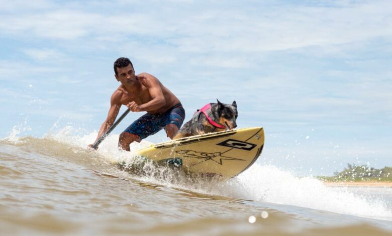 Natal, Pipa e Baía Formosa recebem 2ºedição do Surf Dog Festival