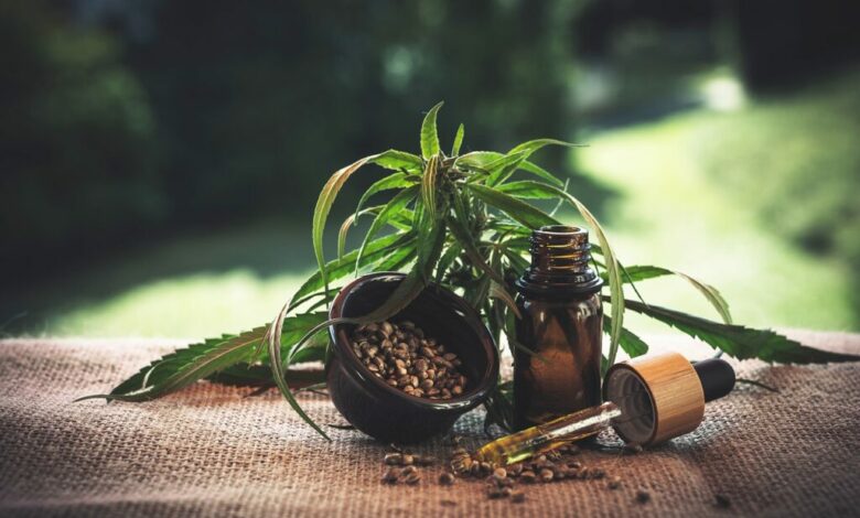 Lei autoriza uso medicinal de cannabis no RN