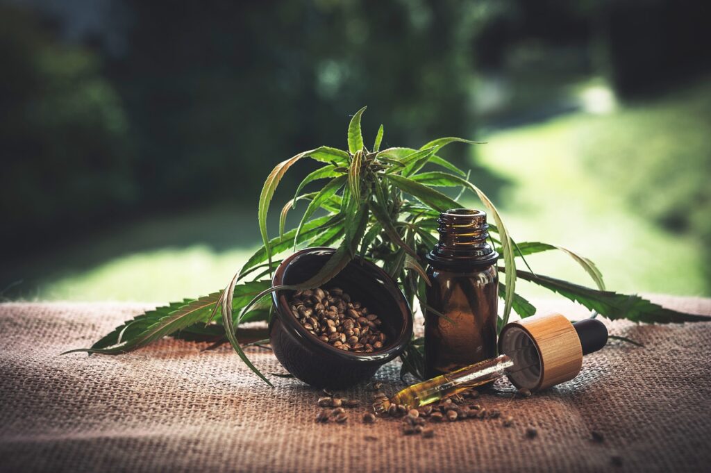 Lei autoriza uso medicinal de cannabis no RN