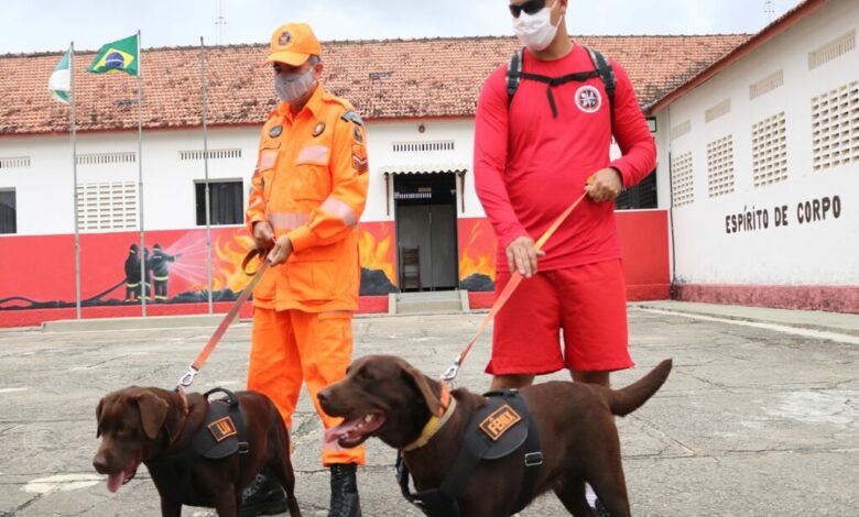 Corpo de Bombeiros do RN envia equipes para ajudar no resgate de vítimas em Petrópolis