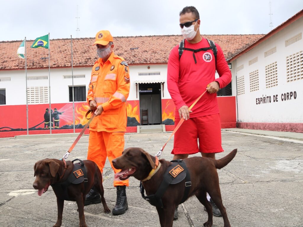 Corpo de Bombeiros do RN envia equipes para ajudar no resgate de vítimas em Petrópolis
