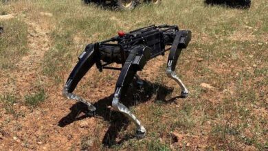 EUA testam cães robôs para ajudar no patrulhamento de suas fronteiras