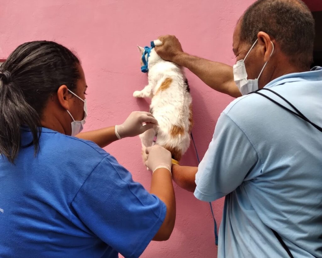 Centro de Zoonoses de Natal realiza vacinação antirrábica porta a porta
