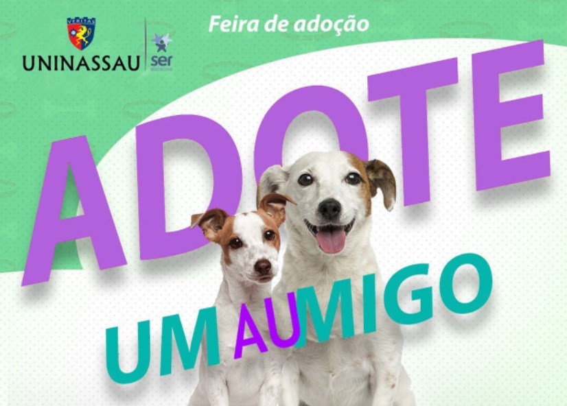 Universidade promove feira de adoção de cães em Natal