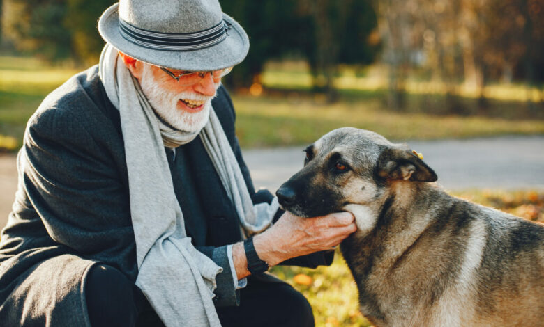 Cães sedentários têm mais chance de desenvolver "Alzheimer" canino