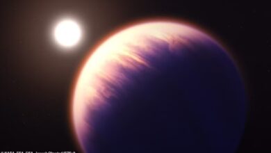 Sinais químicos detectados no exoplaneta WASP-39 b