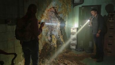 Fungo da série The Last of Us é real, mas poderia infectar humanos