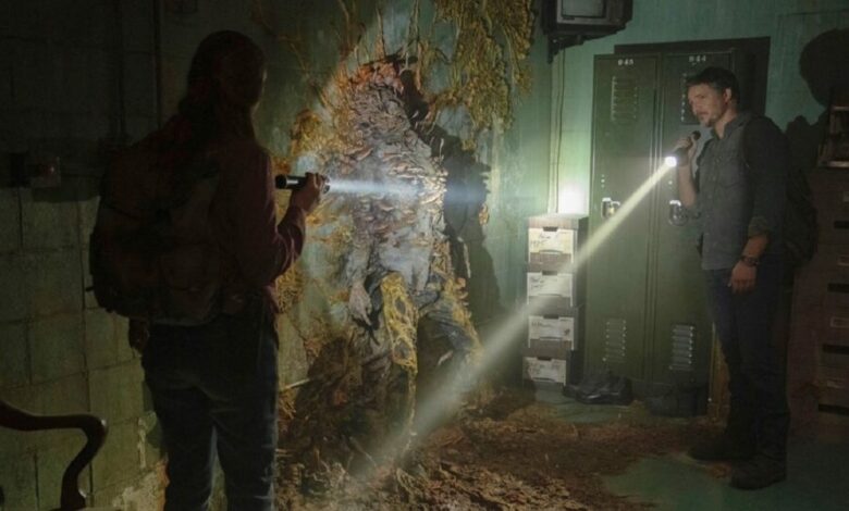 Fungo da série The Last of Us é real, mas poderia infectar humanos