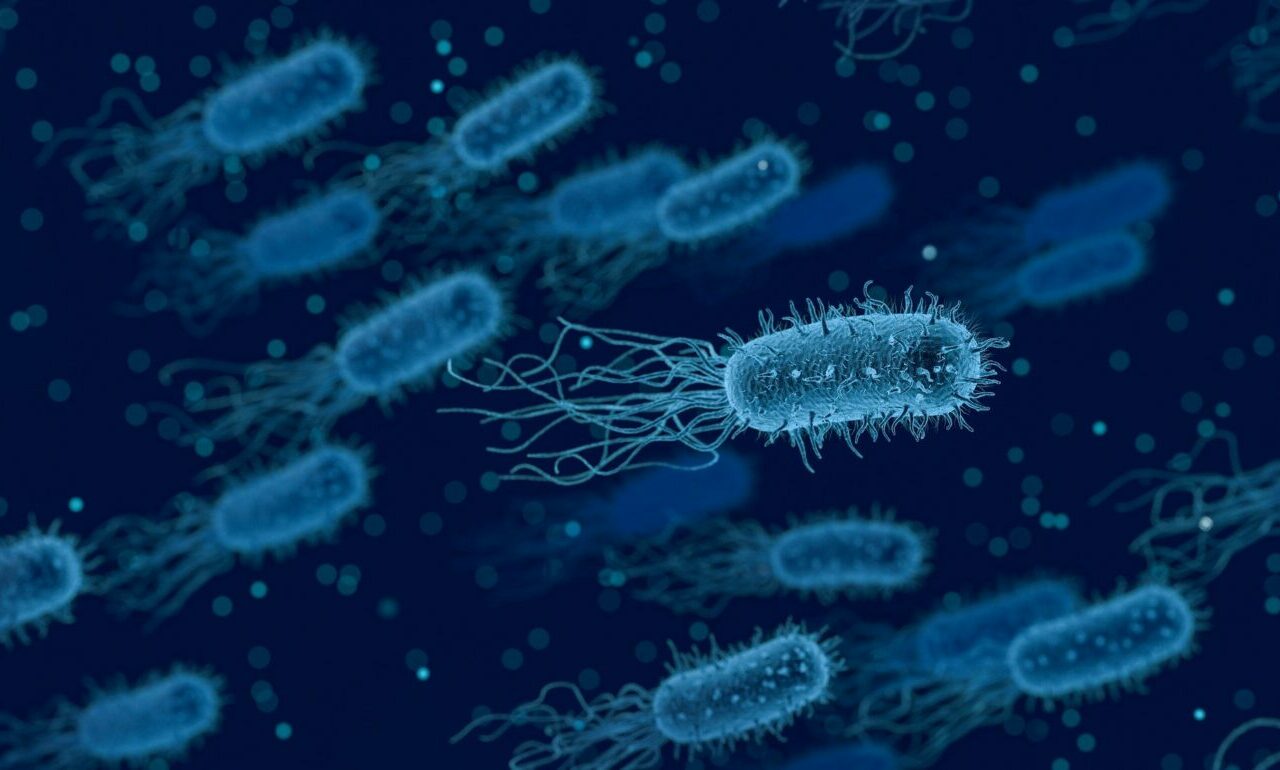Antibiótico capaz de eliminar bactérias consideradas "intratáveis"