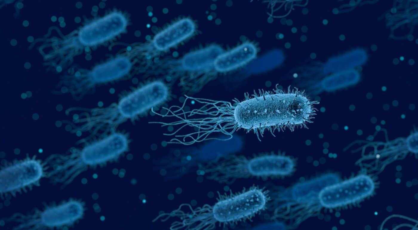 Antibiótico capaz de eliminar bactérias consideradas "intratáveis"