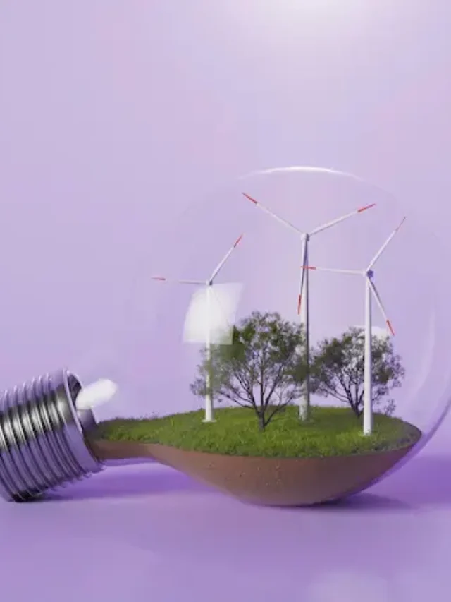 O papel do setor elétrico na promoção da sustentabilidade e do desenvolvimento do Brasil